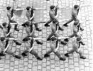 Filename : Precision Drill.jpg
Filesize : 145KB
Dimensions : 720x547
Date added : Feb 11, 2005 Precision Drill.jpg